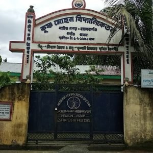 Krishna Niketan School Tangla