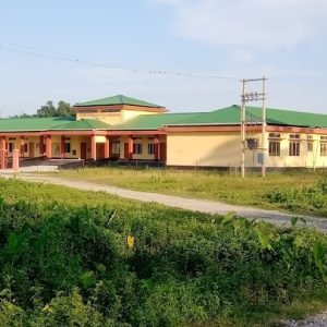Paneri Tea Estate Model High School Udalguri